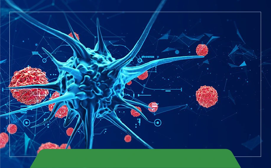 What are the various rotor types used in laboratory centrifuges?