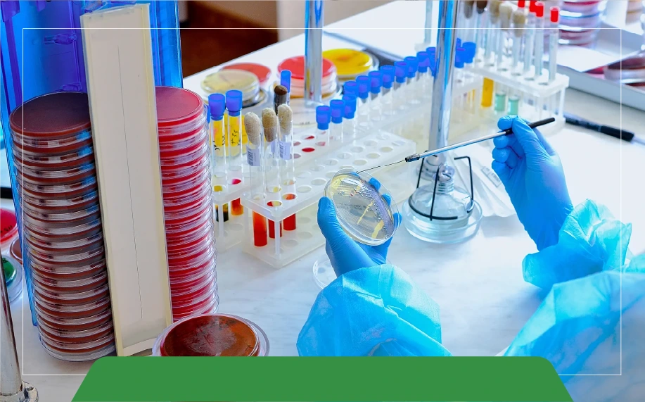 8 Signs When It’s Time to Upgrade Your Outdated Laboratory Tools 