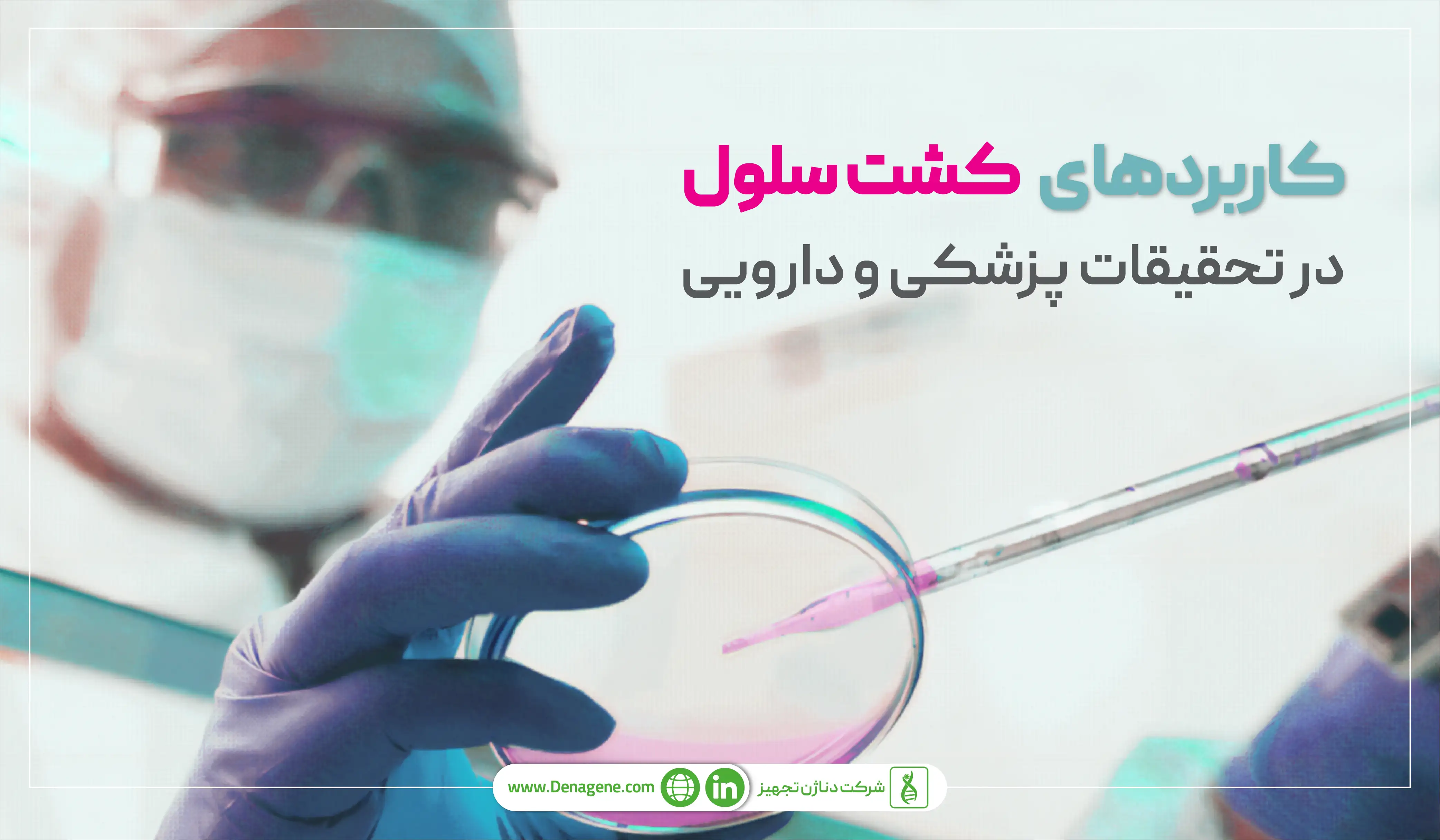 کاربردهای کشت سلول در تحقیقات پزشکی 