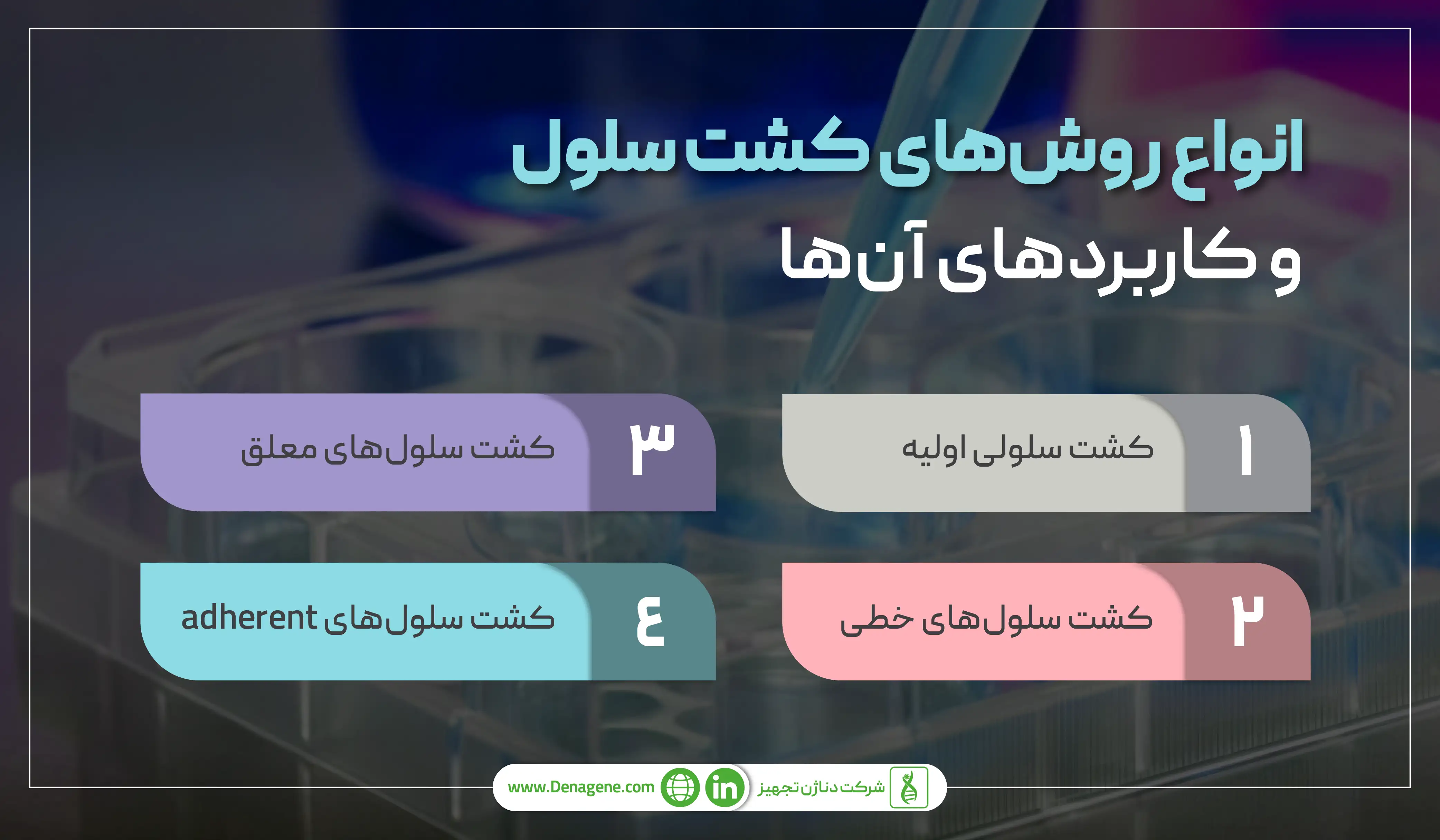 انواع روش‌های کشت سلولی و کاربردهای آن در آزمایشگاه 