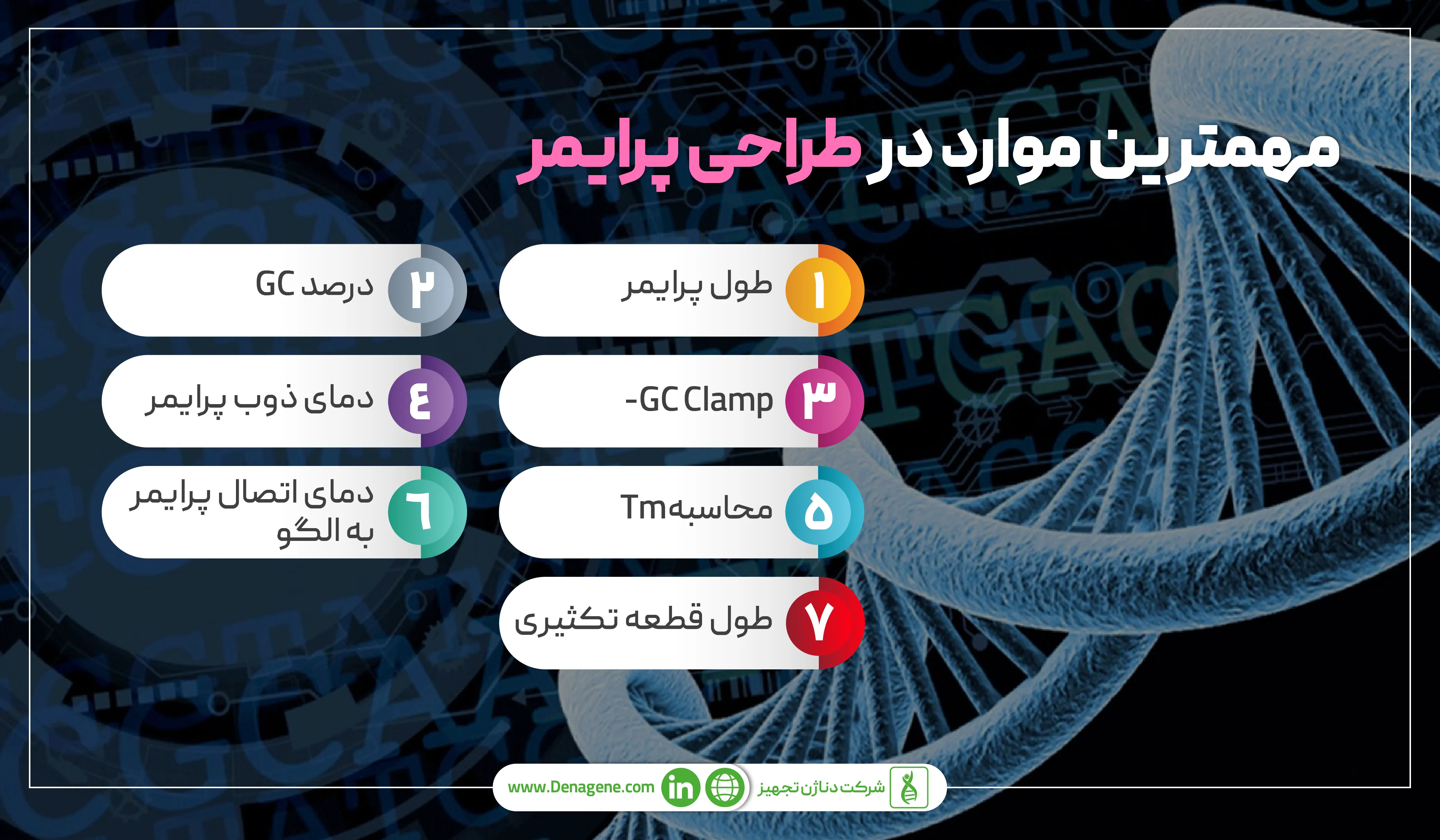 مهمترین موارد در طراحی پرامیر