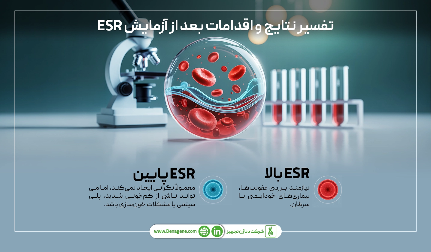 تفسیر نتایج آزمایش ESR
