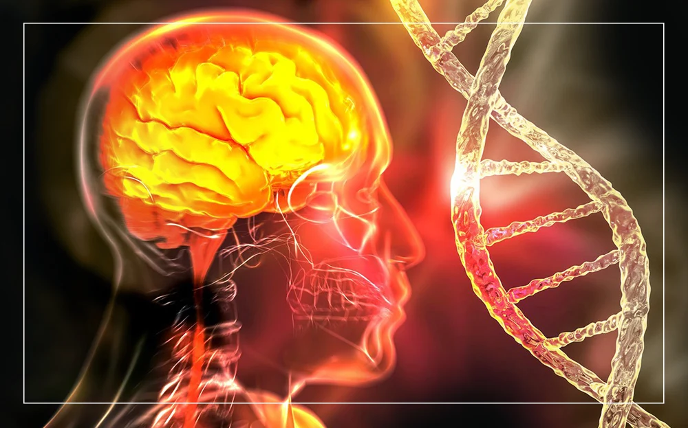  Caffeine and Cognition: New Study Uncovers Genetic Variations in Mental Performance