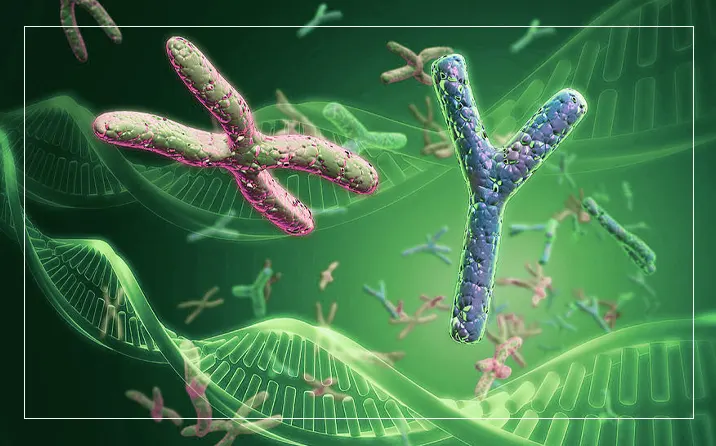 Выявление Скрытой Динамики Аллергических Реакций: как Тучные Клетки Захватывают и Используют Нейтрофилы