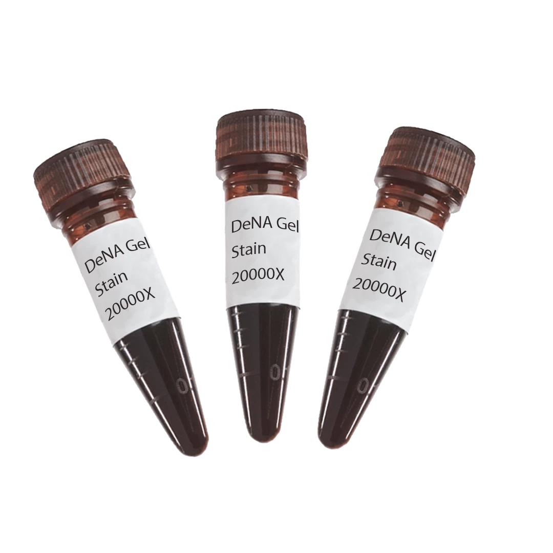 DNA-Gel-Stain